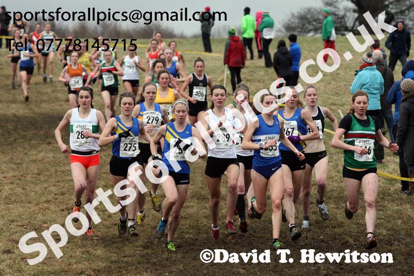 Senior women, 2018 Northern Cross Country Champs., Harewood House, Leeds. Photo: David T. Hewitson/Sports for All Pics